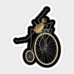 Daddy long legs Sticker
